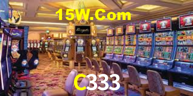 Premium Interface C333
